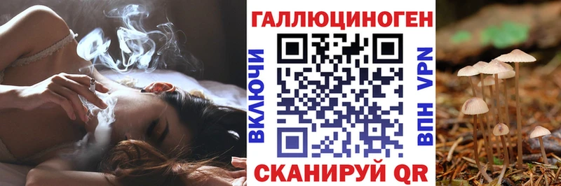Псилоцибиновые грибы GOLDEN TEACHER цена Таштагол